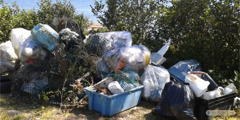 Pubnico Point trail cleanup 4